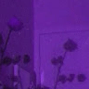 Meet your Posher, Tori